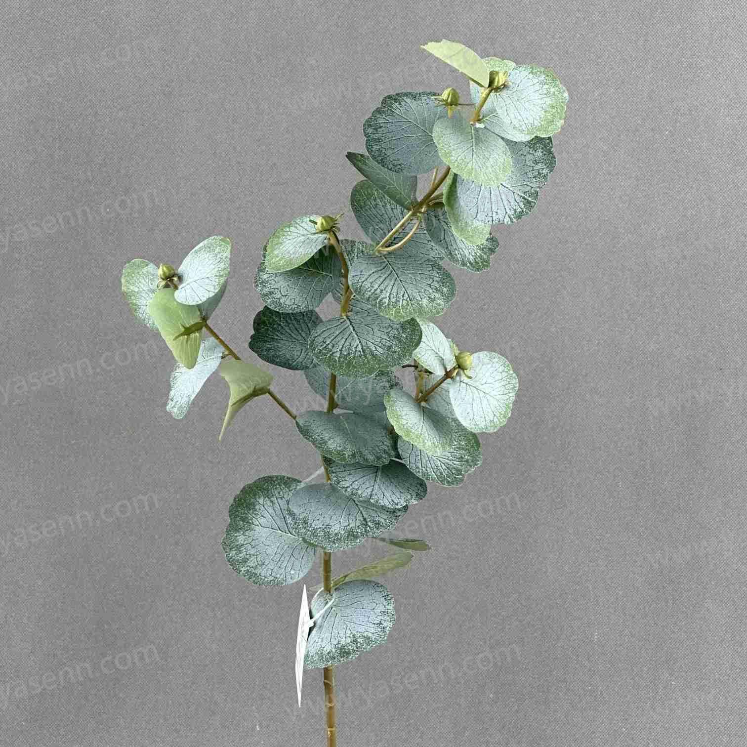 69CM SINGLE STEM OF EUCALYPTUS LEAF YSL24030