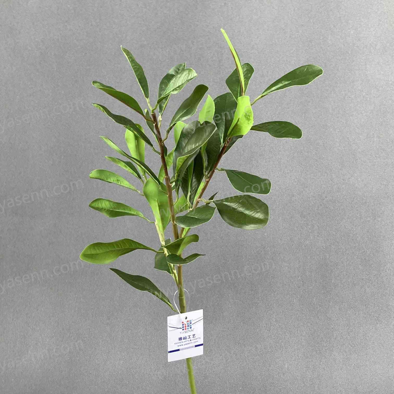 52CM SINGLE STEM OF SMALL SILVER-EDGED LEAVES YSL24063