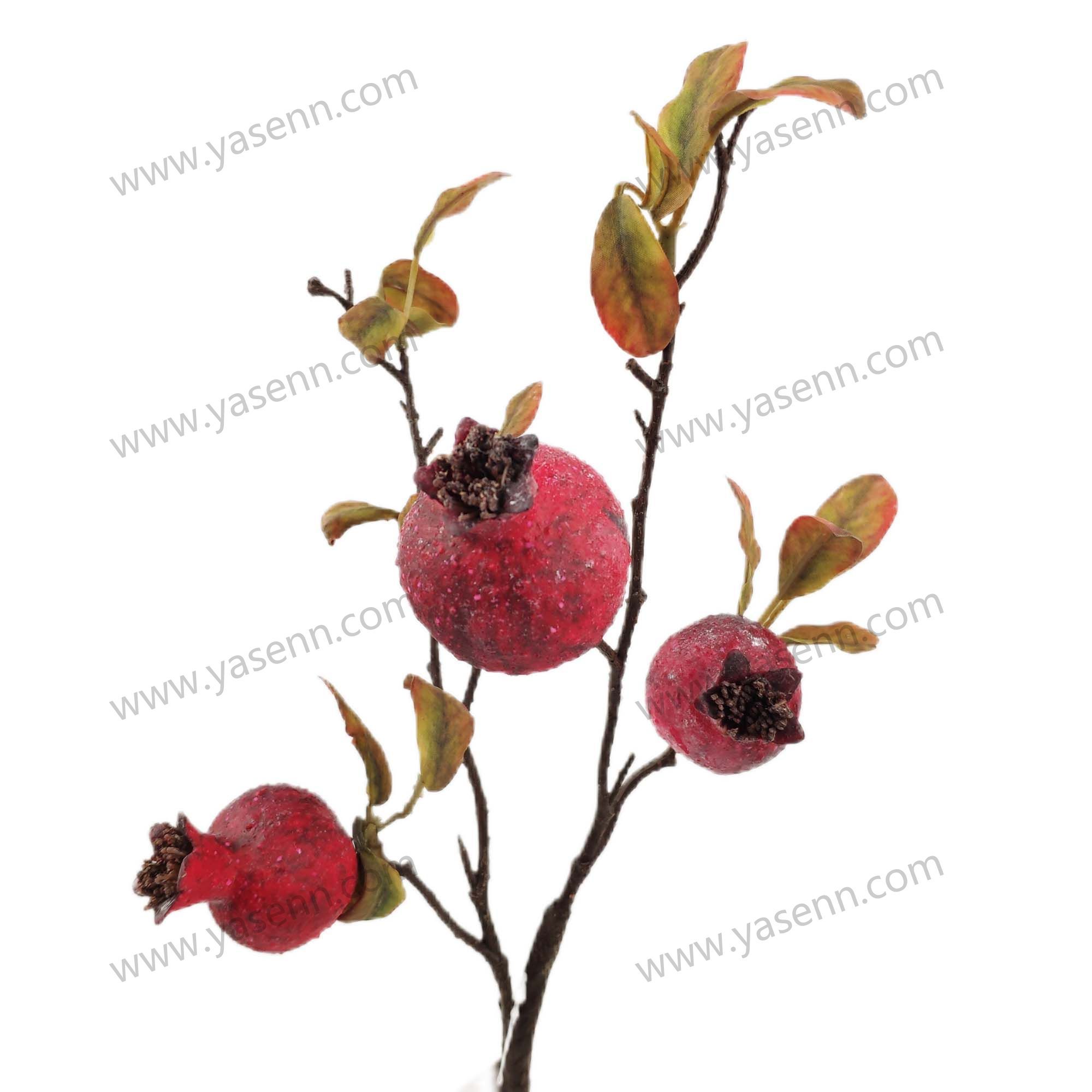 53CM2 POMEGRANATE YSS23697