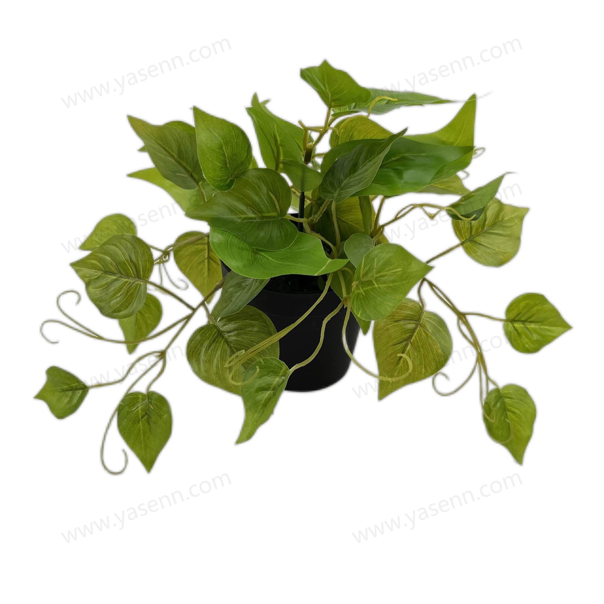 HEIGHT 20CM  44 LEAVES  YSM23064