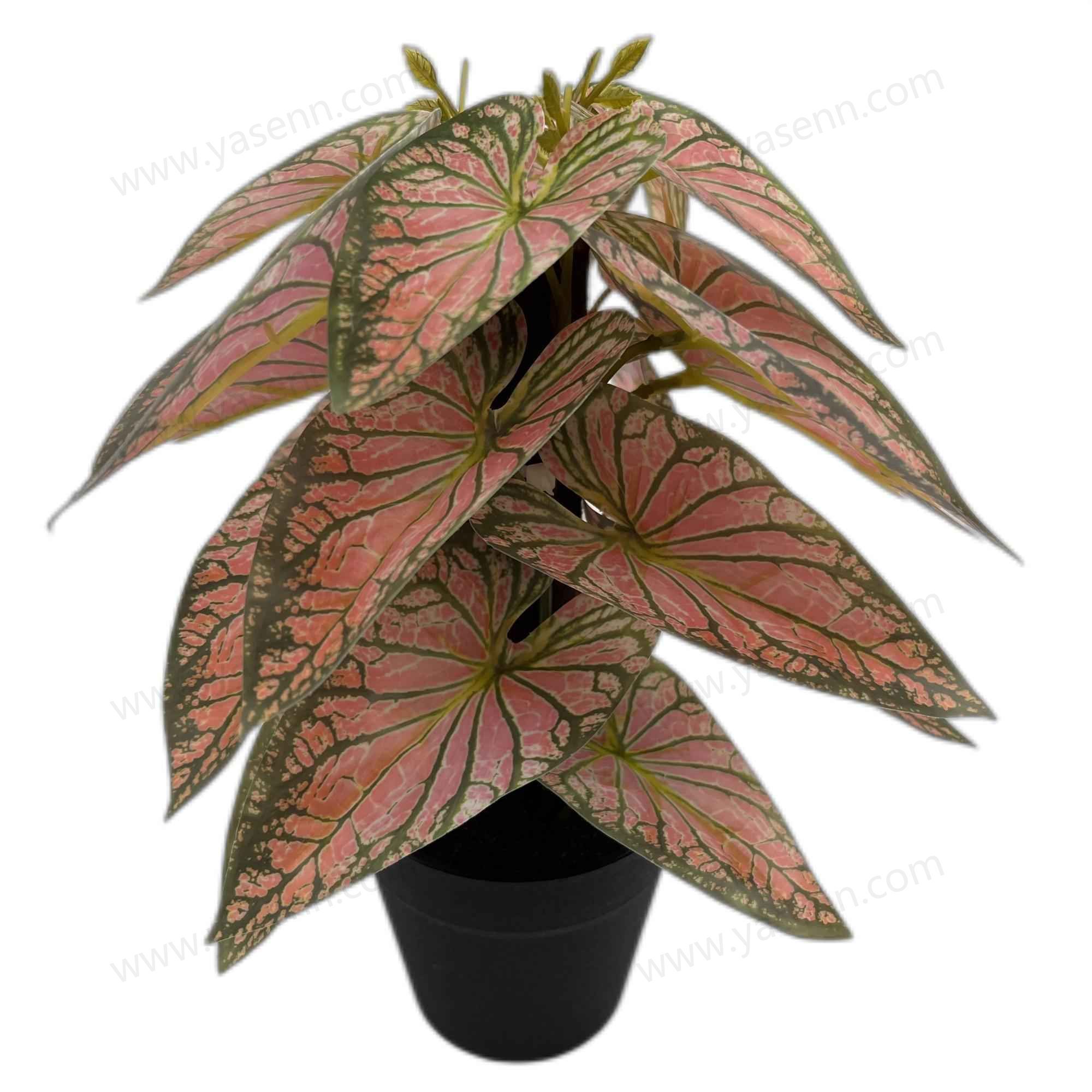 HEIGHT 25CM   24 LEAVES  YSM23069