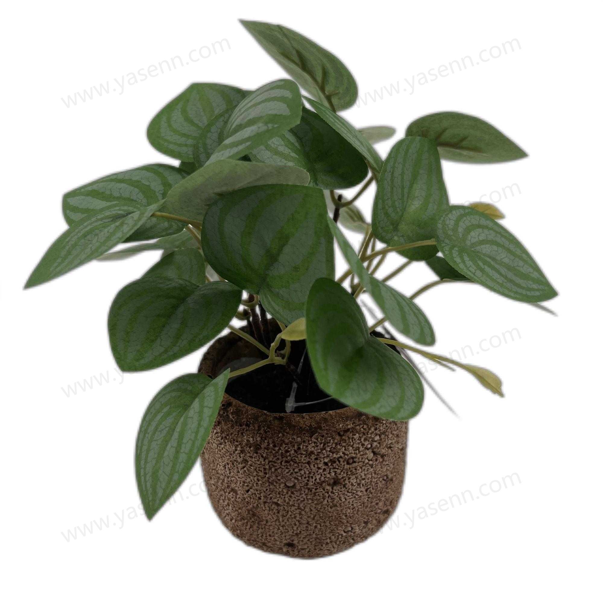 HEIGHT 20CM  27 LEAVES YSM23072