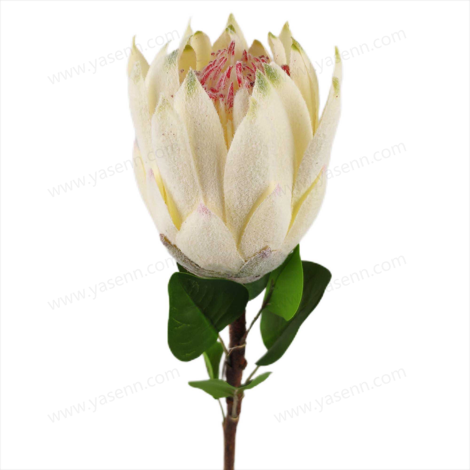 YSS23447 68CM Protea cynaroides ARTIFICIAL FLOWER 