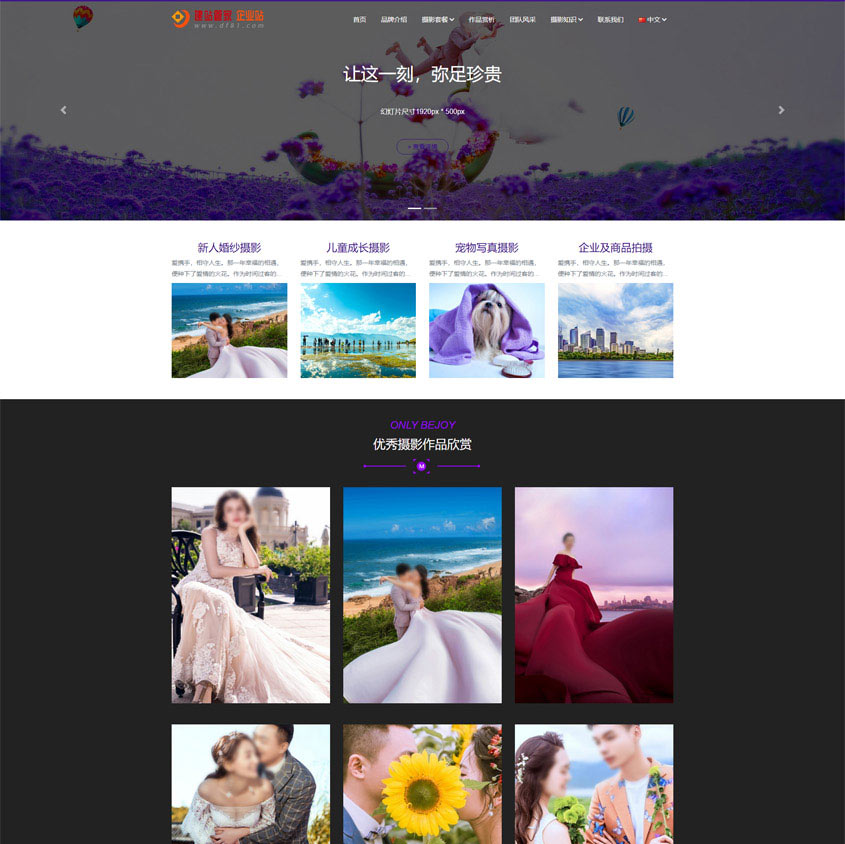 Project case successful case